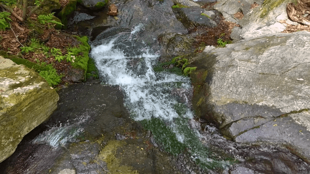 바위 위로 흐르는 작은 시냇물