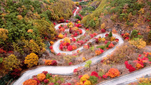 Winding road through colorful autumn forest