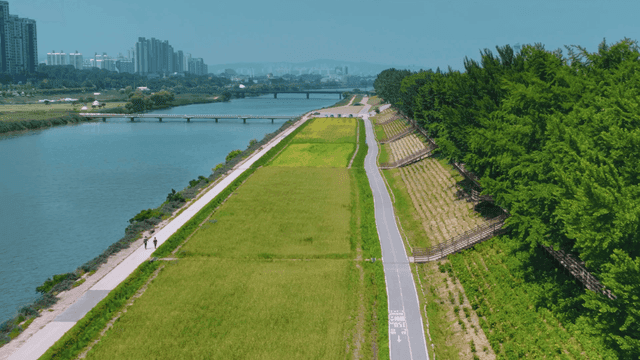 City riverside park next to tall buildings
