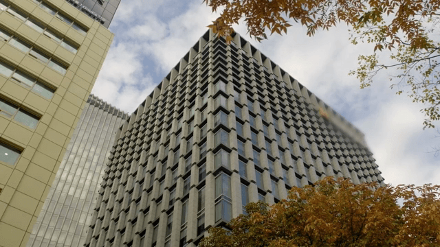 가을 나뭇잎과 현대적인 고층 건물