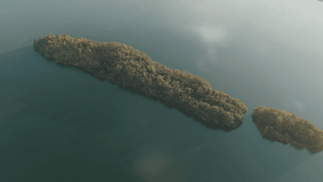 고요한 강의 작은 푸른 섬