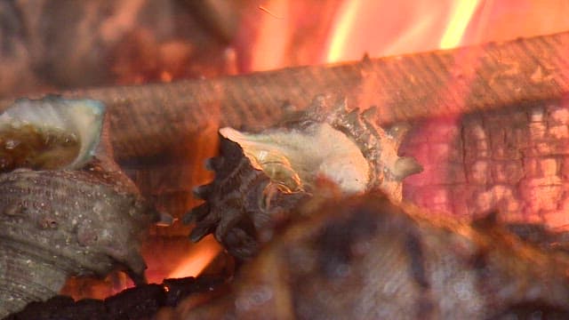 Conch Cooking on Open Fire