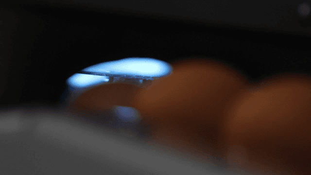 Eggs processed under blue lighting