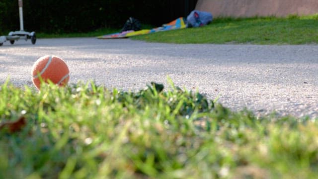 주황색 테니스 공이 있는 잔디밭 사이 길