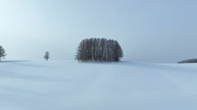 Serene Snow-covered Landscape with Trees