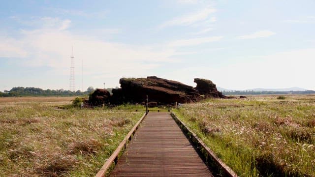 Wooden path leading to large rocks in a field