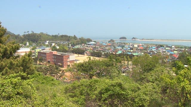 녹지와 건물들이 어우러진 해안 마을