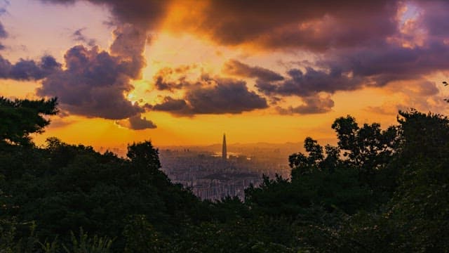 Sunset view from a forest overlooking a city skyline