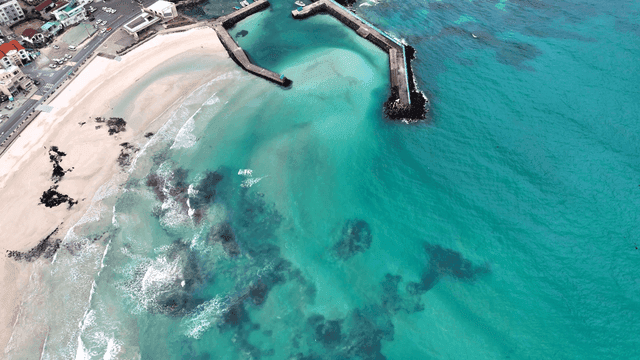 Tranquil beach with turquoise sea