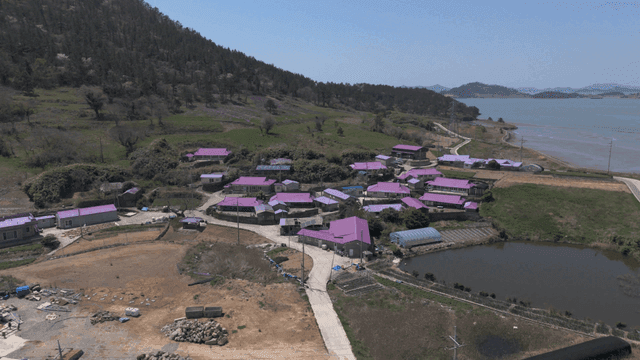 Rural village with purple roofs by sea