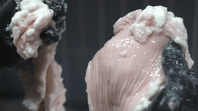 Handling raw beef intestines while wearing gloves