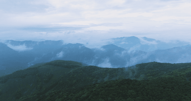Misty mountains with lush green forests