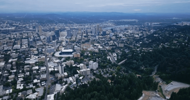 A sprawling cityscape with lush greenery