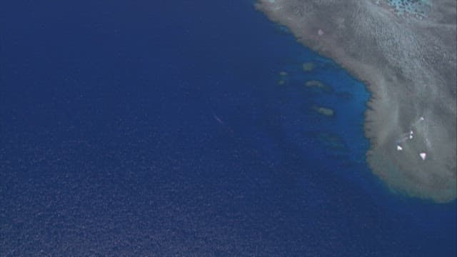 View of a Tropical Island and Reef