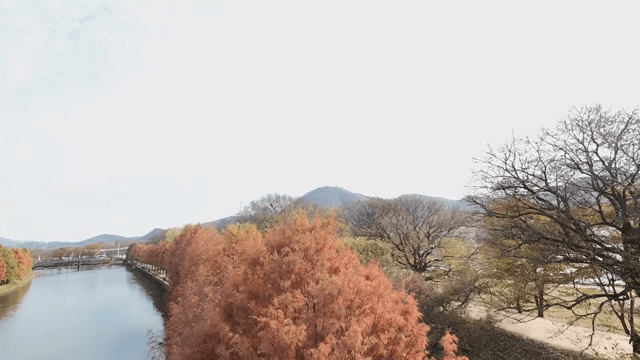 Scenic river lined with autumn trees