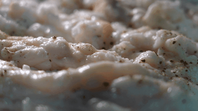 Close-up of raw beef large intestine sprinkled with pepper powder
