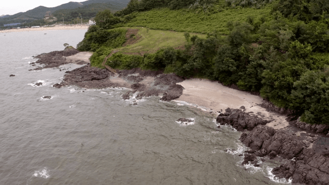 푸른 초목이 있는 바위 해안선