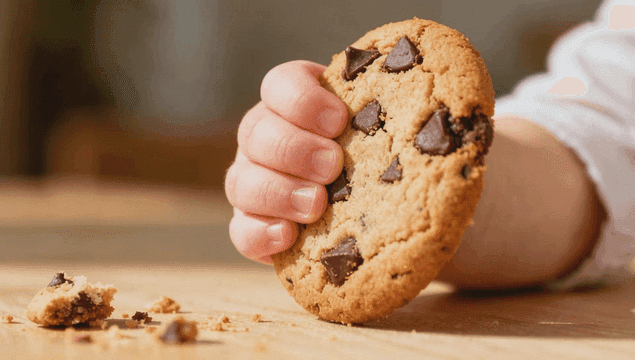 초콜릿 칩 쿠키를 들고 있는 아이