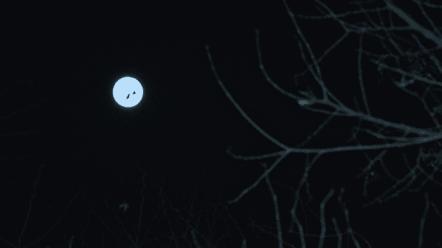 밤하늘의 밝은 보름달