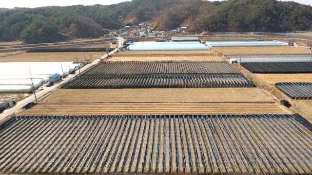 밭과 비닐하우스가 펼쳐진 농촌 지역