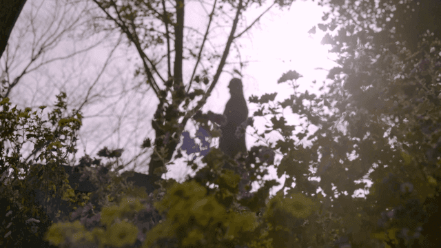 Statue in a serene forest with sunlight