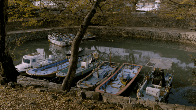 Boats docked by a calm riverbank
