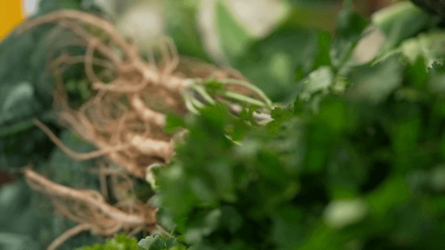 신선한 고수와 뿌리 채소