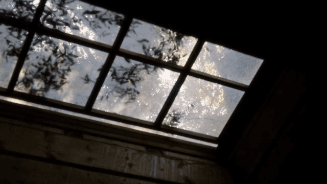 창문을 통해 들어오는 햇빛