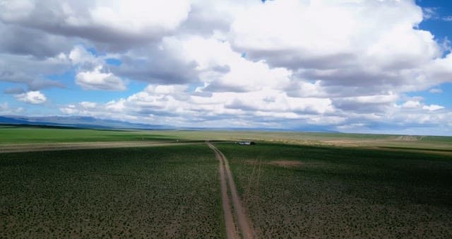 Vast green fields under a cloudy sky