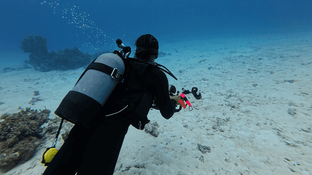 Scuba divers exploring seabed with camera