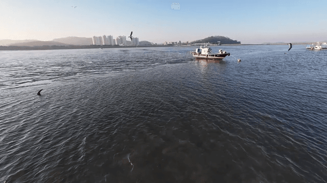 일몰 시 고요한 바다에 떠 있는 배들