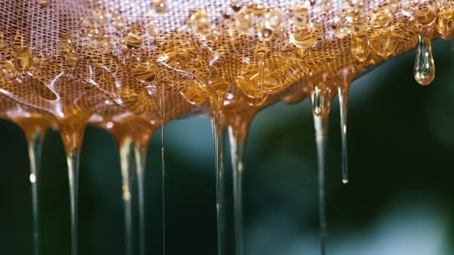 Honey Dripping through a Strainer