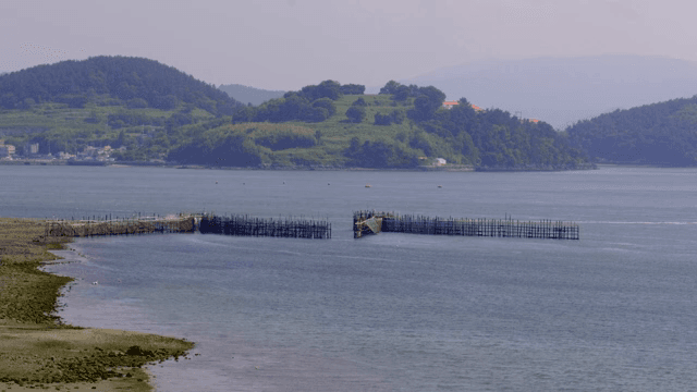 양식장이 있는 해안 풍경