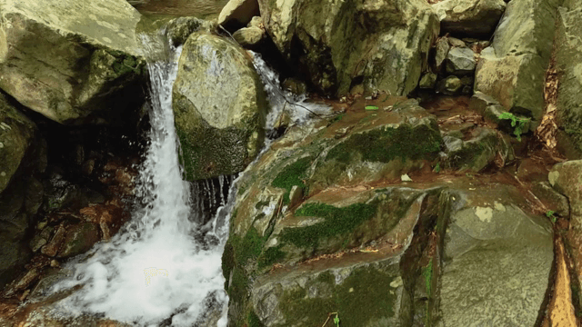 Small waterfall flowing over mossy rocks