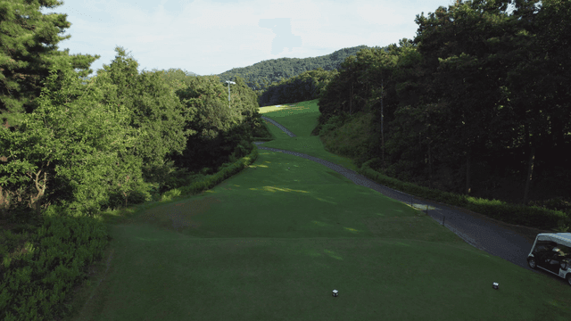 Golf course surrounded by lush trees