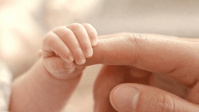 Baby's hand holding adult's finger