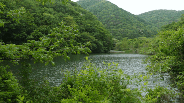 A tranquil river flowing through lush mountains