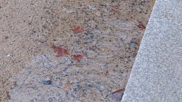 Puddles on wet ground on a cement floor on a rainy day