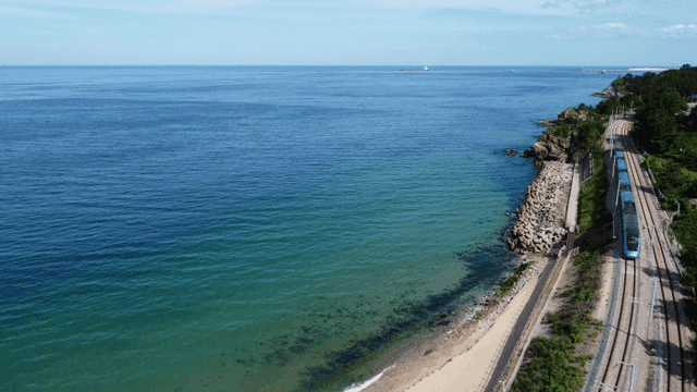 기차가 달리는 해안선 풍경