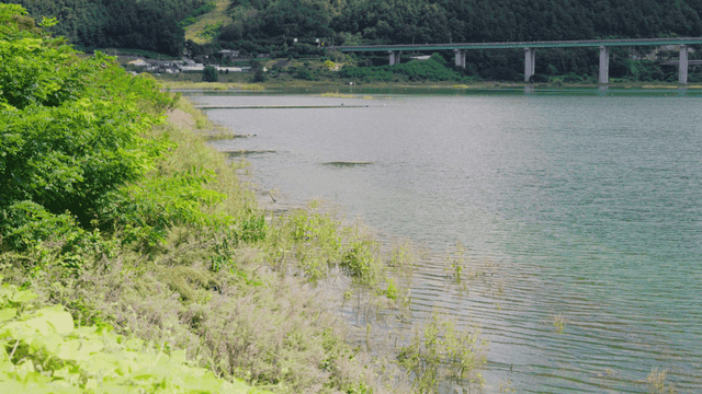 Shoreline view with a bridge across the lake
