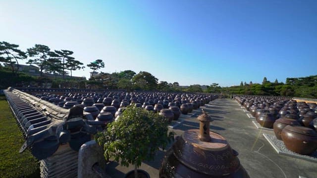 마당에 늘어선 전통 한국 항아리