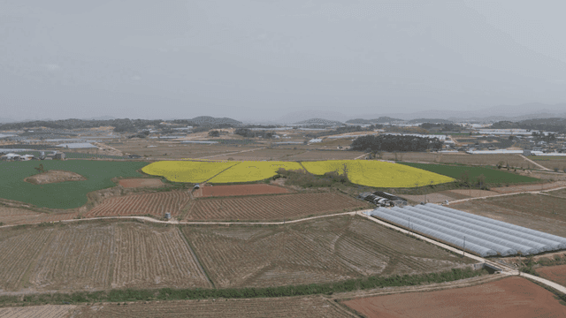 Large farmland with greenhouse