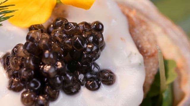 Gourmet Dish with Caviar and Cream