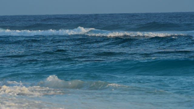 Waves crashing on a serene beach during the day