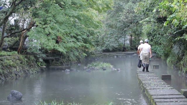 안개 자욱한 강가 길에서의 평화로운 산책
