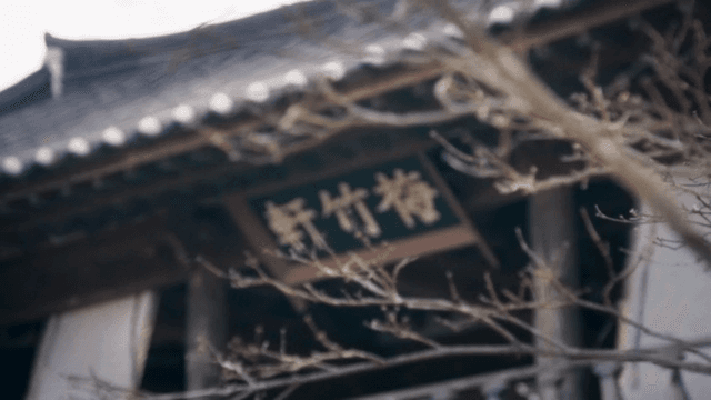 Traditional Korean house with bare branches