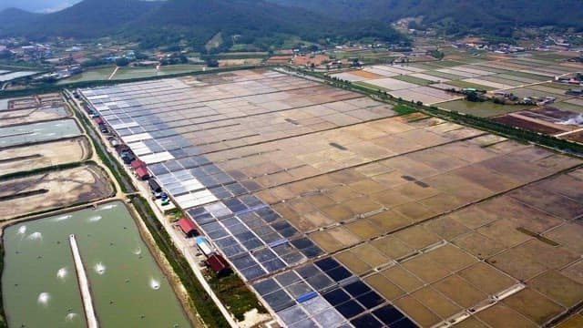 맑은 하늘 아래 시골의 대규모 염전