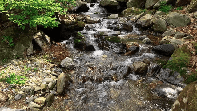 바위 위로 흐르는 시냇물