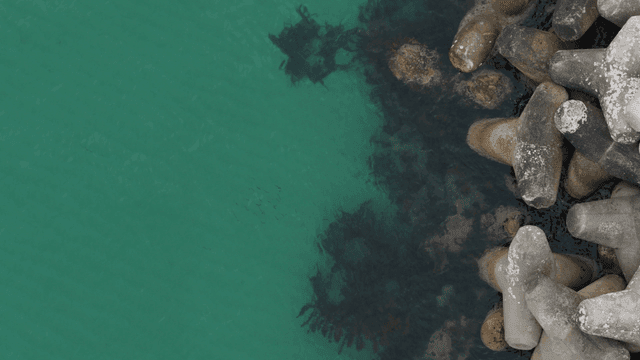 바다 옆의 콘크리트 방파제