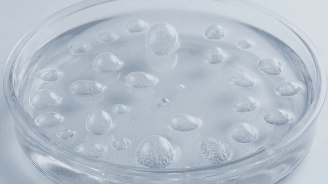 Petri dish with clear liquid and bubbles